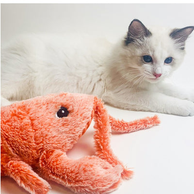 Pet Toys Electric Jumping Shrimp USB Charging Simulation Lobster Funny Cat Plush Pets Toy - Waqaram